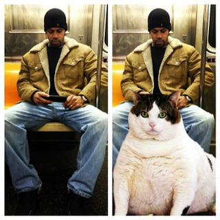 Illustration for article titled Men Who Take Up Too Much Room on the Subway Are Just Saving It for Cats